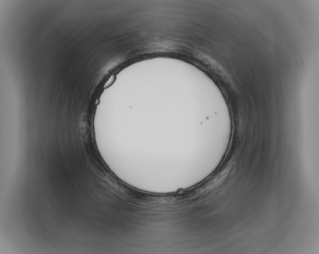 X0000111851210200908201230