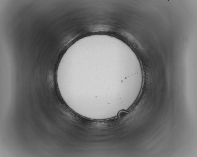 X0000111851217200908201230