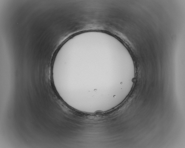 X0000111851220200908201230