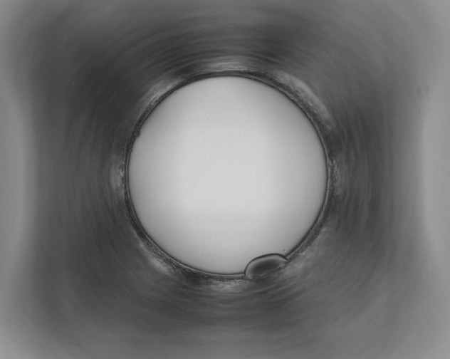 X0000111851225200908201230