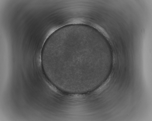 X0000111851226200908201230