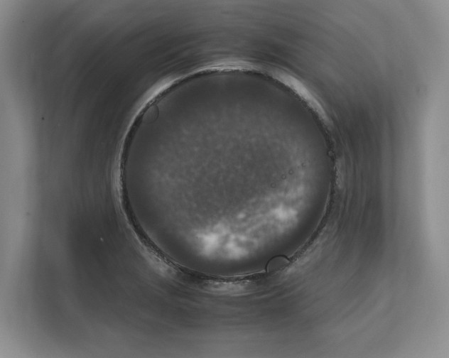 X0000111851229200908201230
