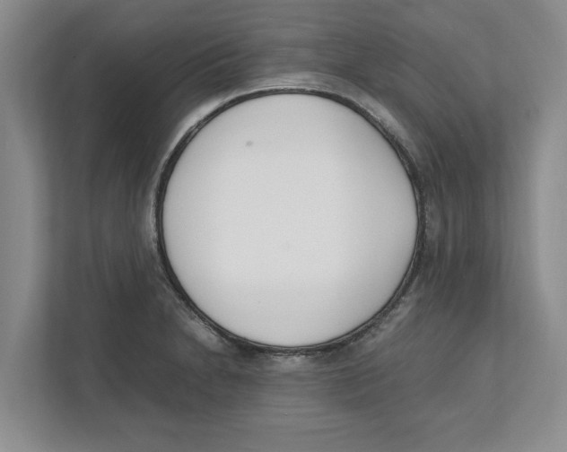 X0000111851230200908201230