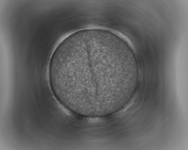X0000111851231200908201230