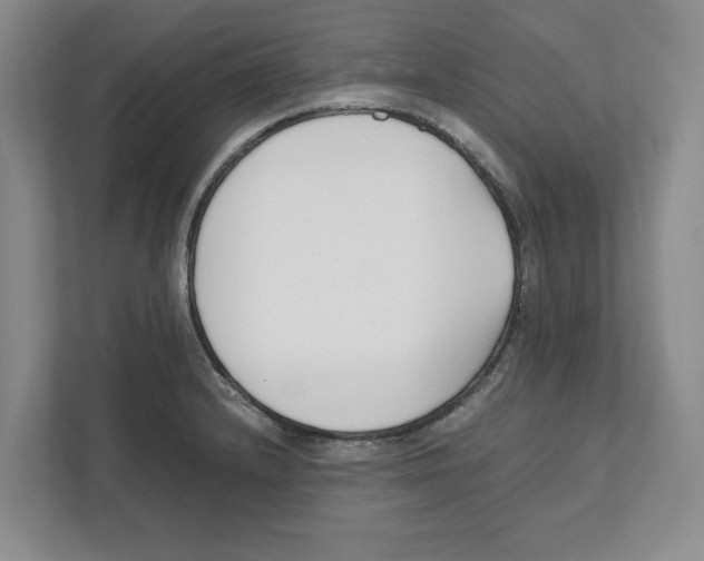 X0000111851232200908201230