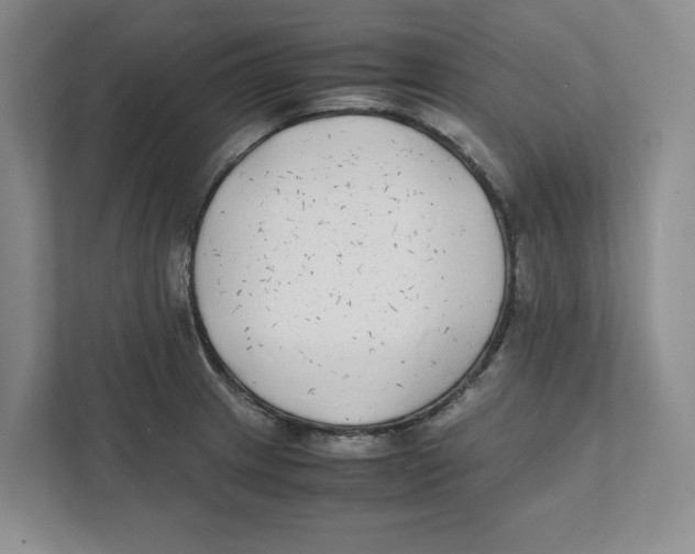 X0000111851233200908201230