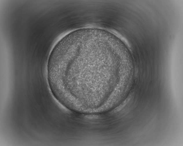 X0000111851239200908201231