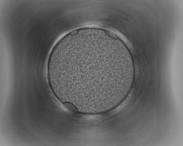 X0000111851240200908201231