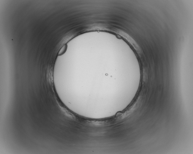 X0000111851241200908201231
