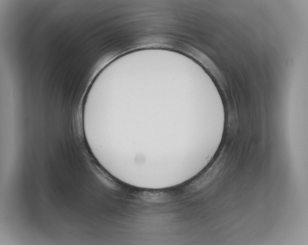 X0000111851242200908201231