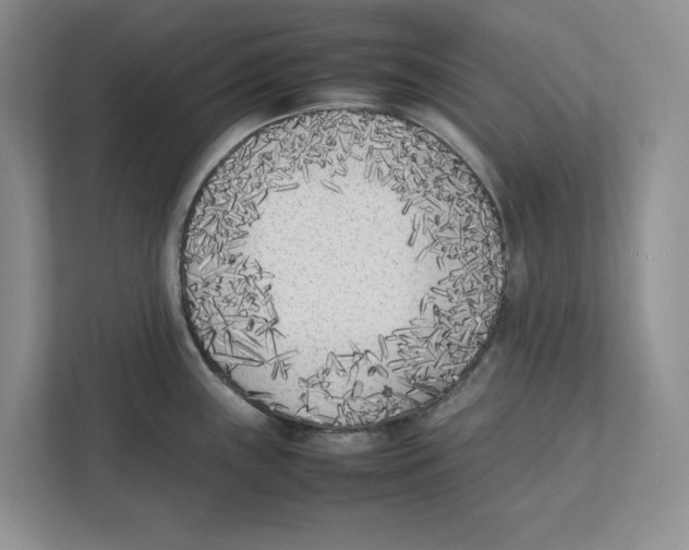 X0000111851243200908201231