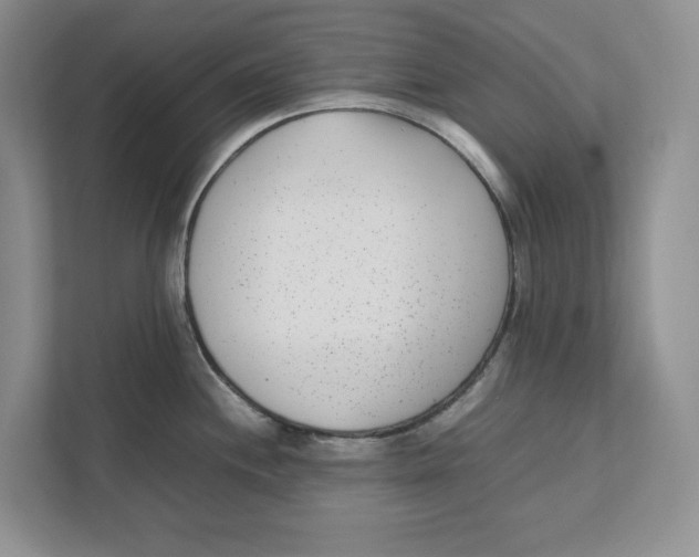 X0000111851244200908201231