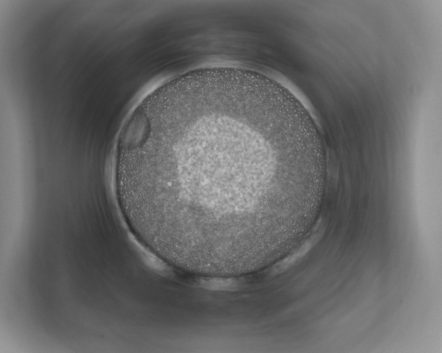 X0000111851245200908201231