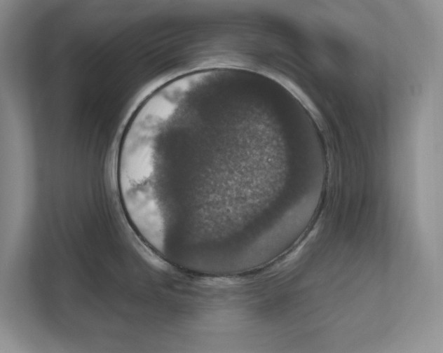 X0000111851246200908201231