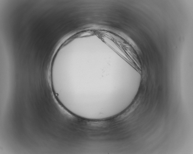 X0000111851247200908201231