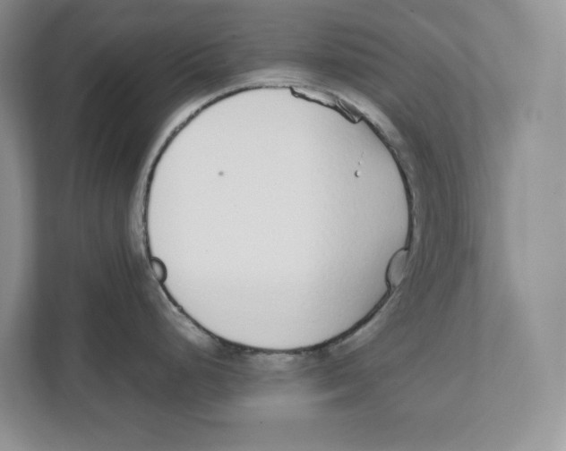 X0000111851248200908201231