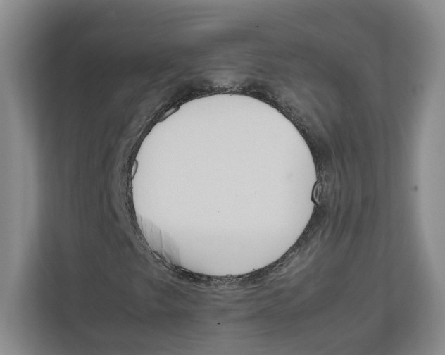 X0000111851249200908201230