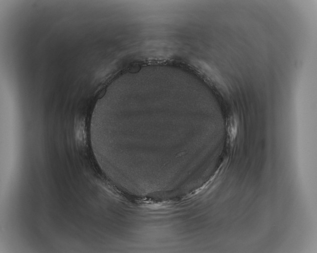 X0000111851252200908201230