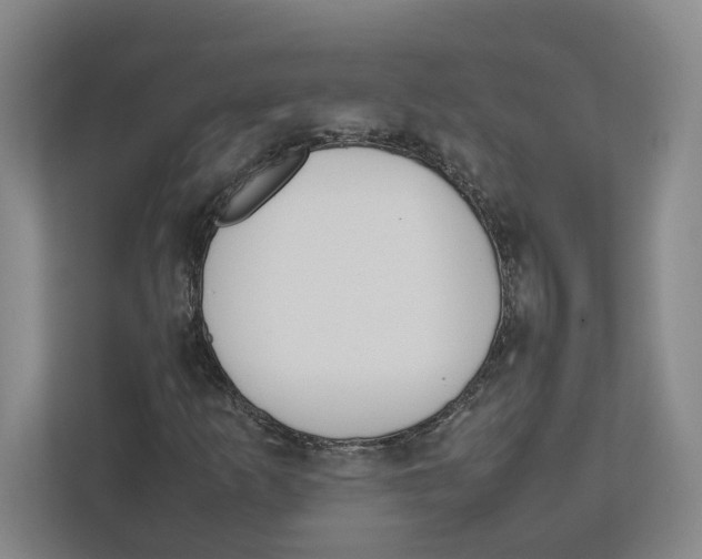 X0000111851253200908201230
