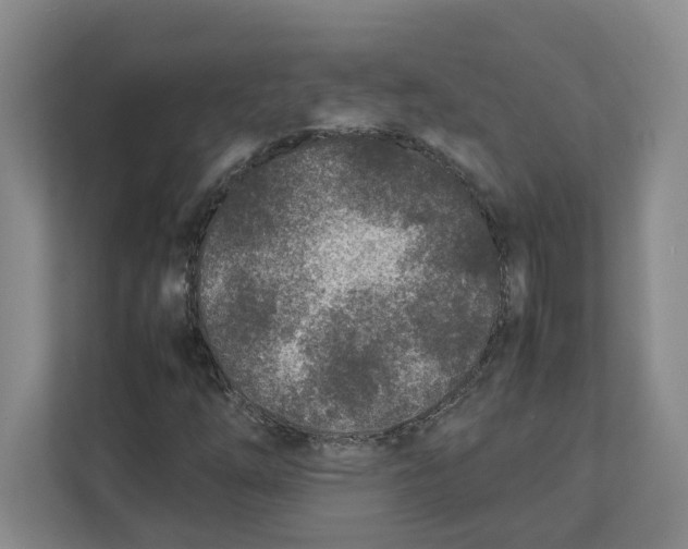 X0000111851254200908201230