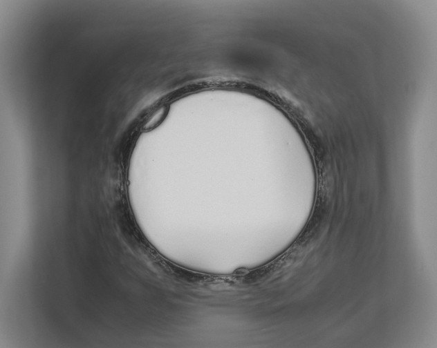 X0000111851255200908201230