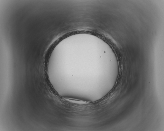 X0000111851256200908201230