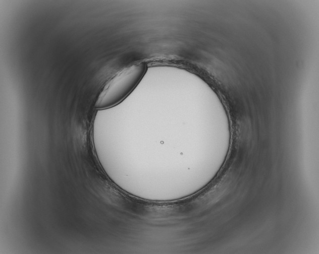 X0000111851257200908201230