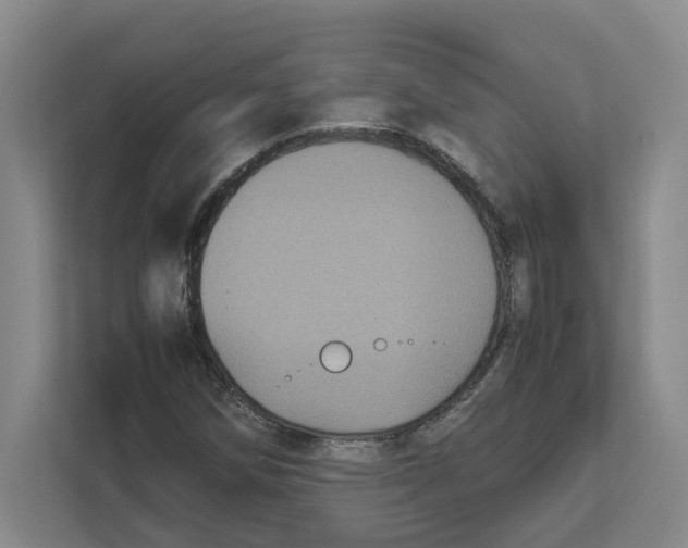 X0000111851258200908201230