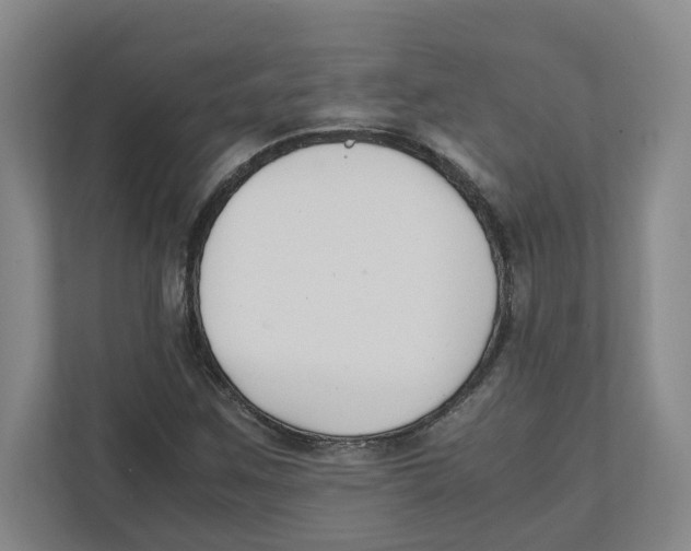 X0000111851259200908201230