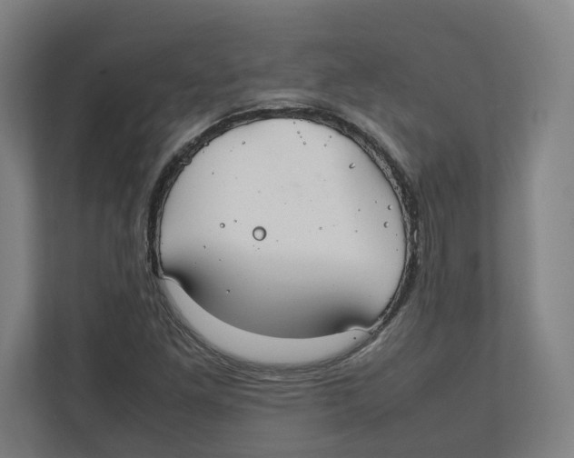 X0000111851261200908201230