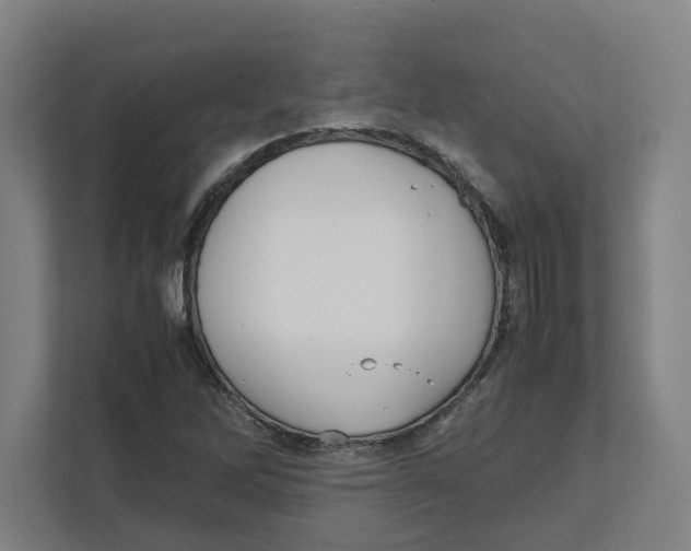 X0000111851262200908201230