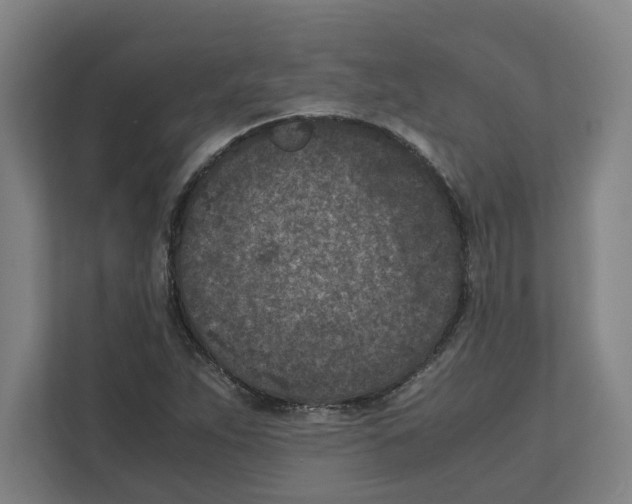 X0000111851263200908201230