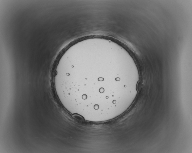 X0000111851264200908201230