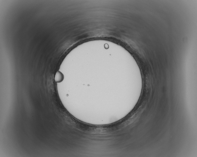 X0000111851265200908201230
