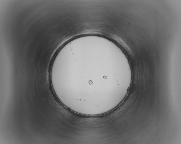 X0000111851268200908201230