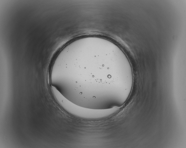 X0000111851269200908201230