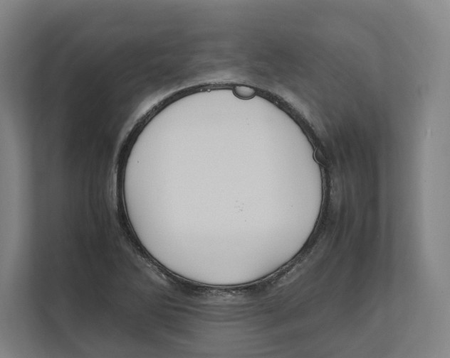 X0000111851270200908201230