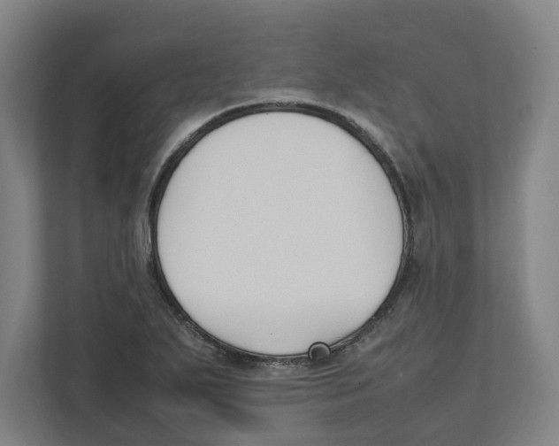 X0000111851271200908201230