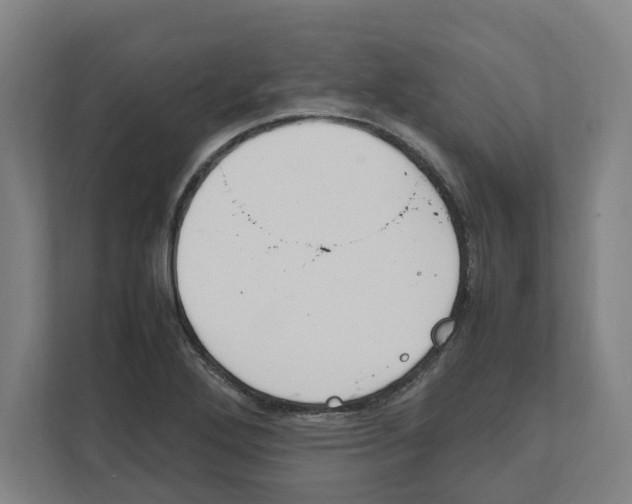X0000111851272200908201230