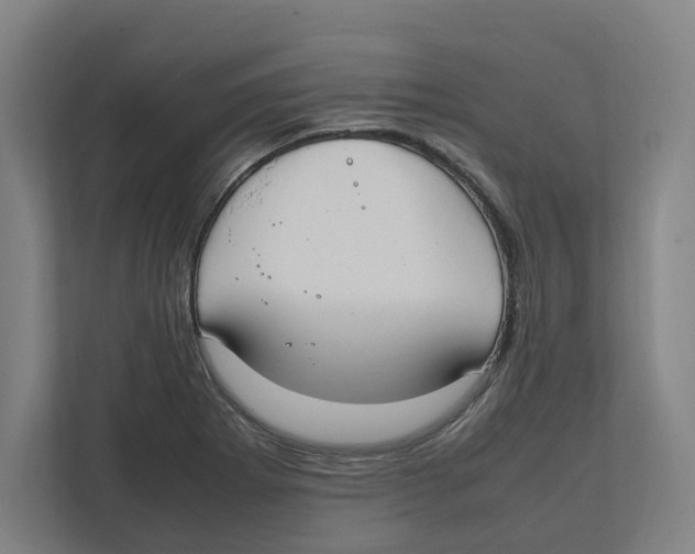 X0000111851273200908201230
