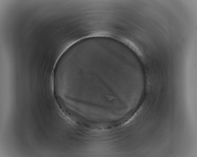 X0000111851276200908201230