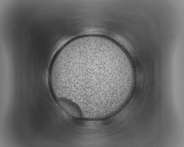 X0000111851277200908201230