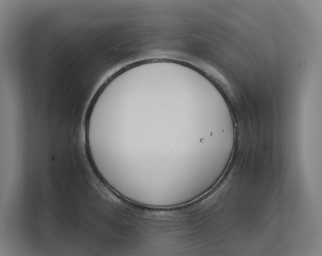 X0000111851280200908201230