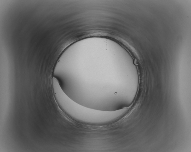 X0000111851281200908201230