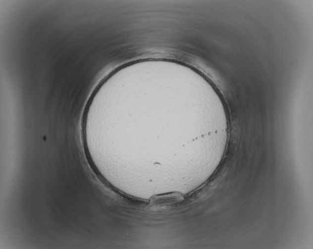 X0000111851283200908201230