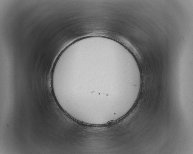 X0000111851284200908201230