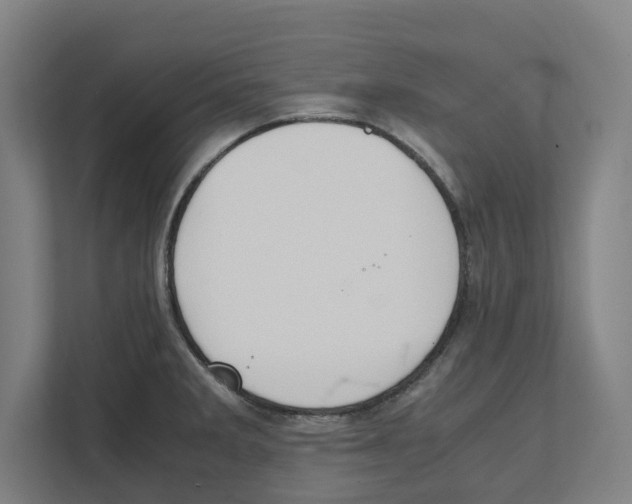 X0000111851285200908201230