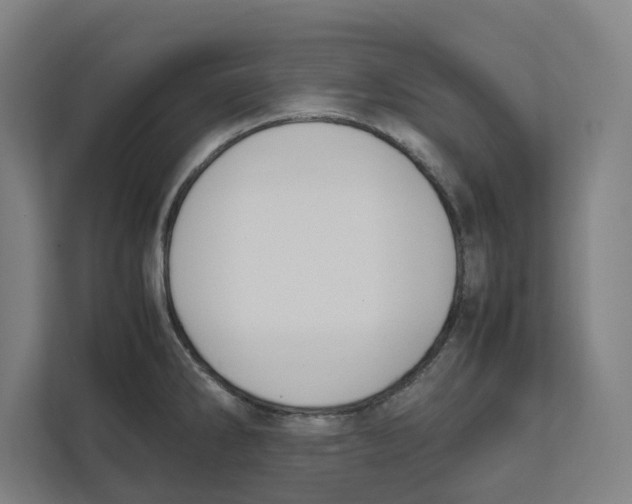 X0000111851286200908201230