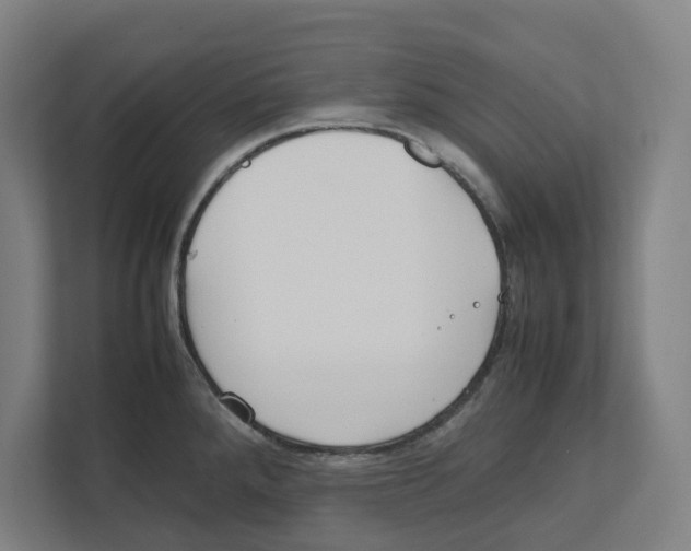 X0000111851288200908201229
