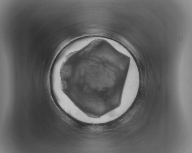 X0000111851291200908201229